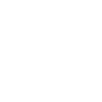 ICONO-PIROMUSICAL